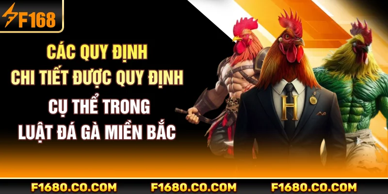 Các quy định chi tiết được quy định cụ thể trong luật đá gà miền Bắc