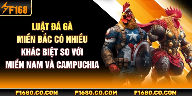 Luật đá gà miền Bắc có nhiều khác biệt so với miền Nam và Campuchia